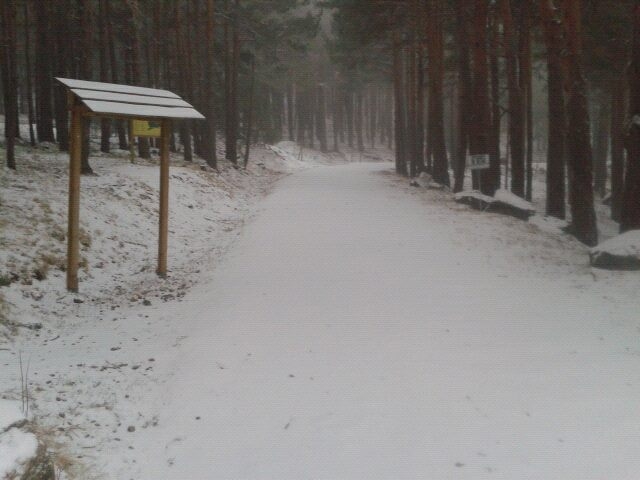 Sendero con nieve